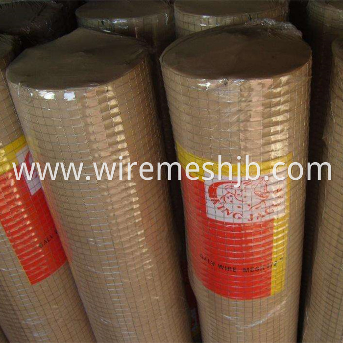 1'' Welded Wire Mesh